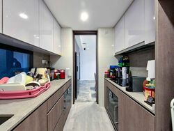 Avenue South Residence (D3), Apartment #558357621